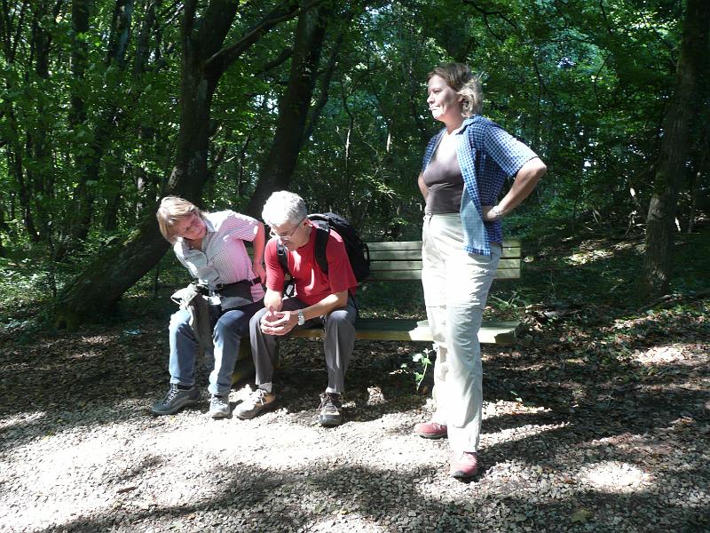 Sommerfest SCS 2009-01.jpg
